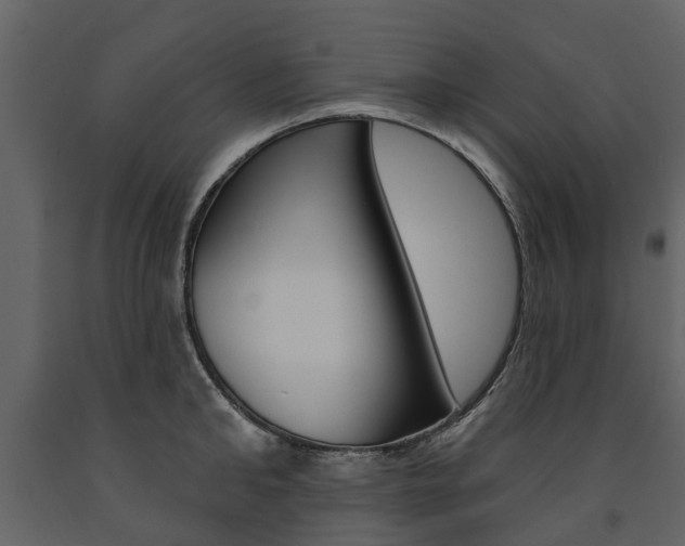 X0000091670902200708231010