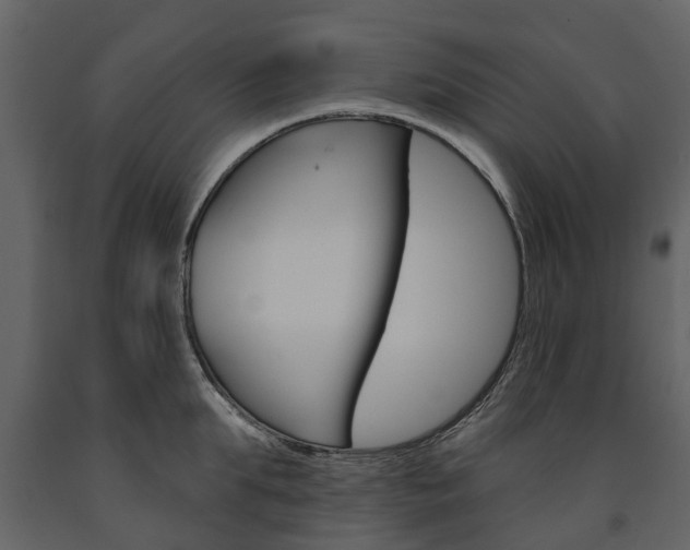 X0000091670903200708231010