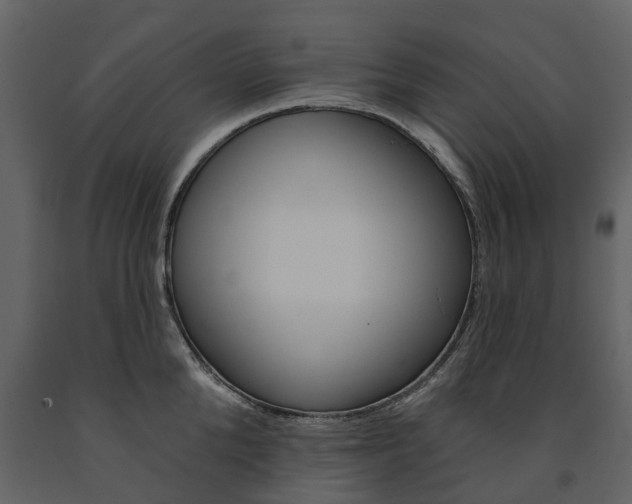 X0000091670904200708231010