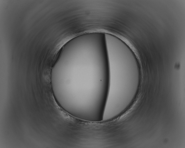 X0000091670905200708231010