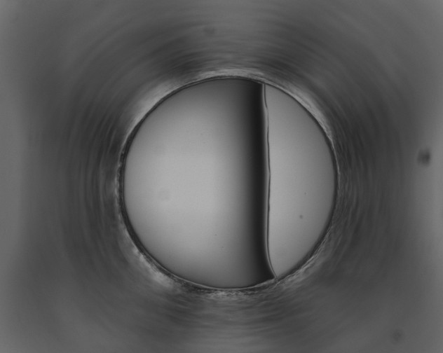 X0000091670906200708231010