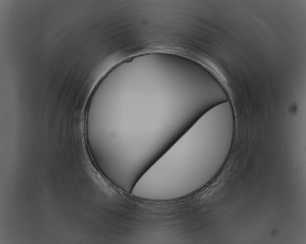 X0000091670907200708231010