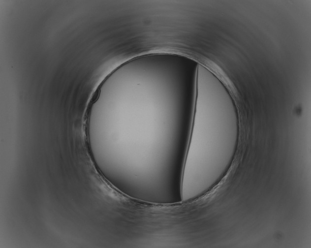 X0000091670908200708231010