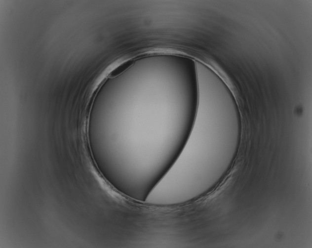 X0000091670909200708231010