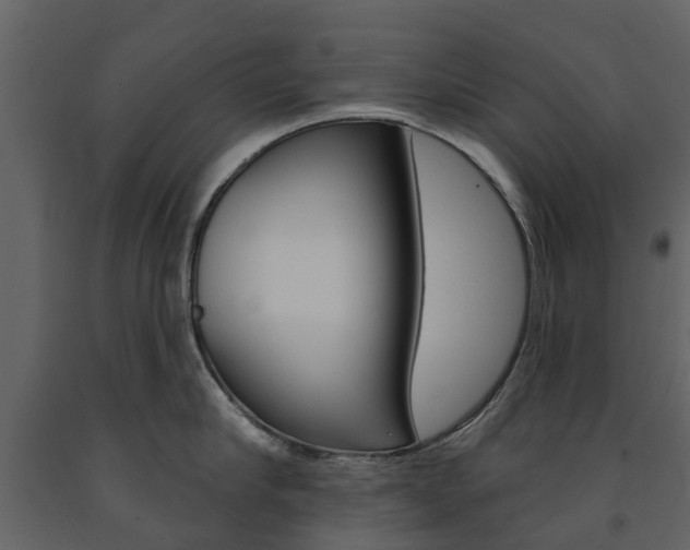 X0000091670910200708231010