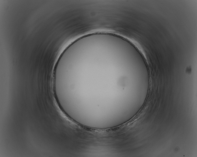 X0000091670911200708231010