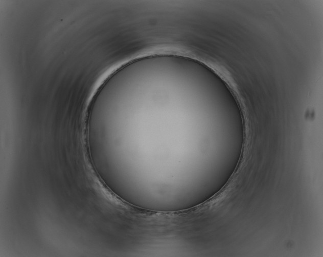 X0000091670912200708231010