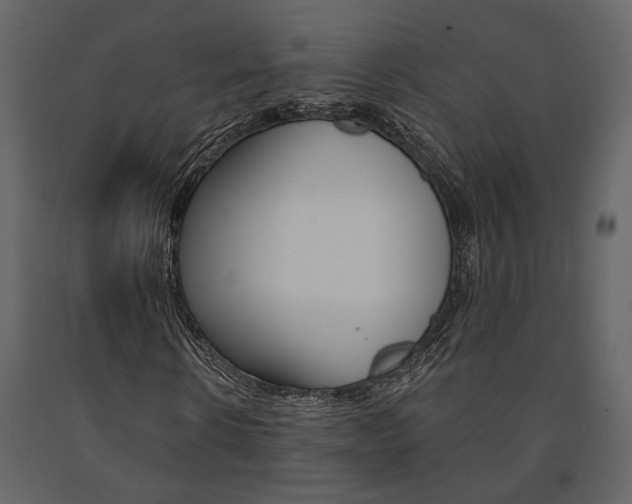 X0000091670914200708231010