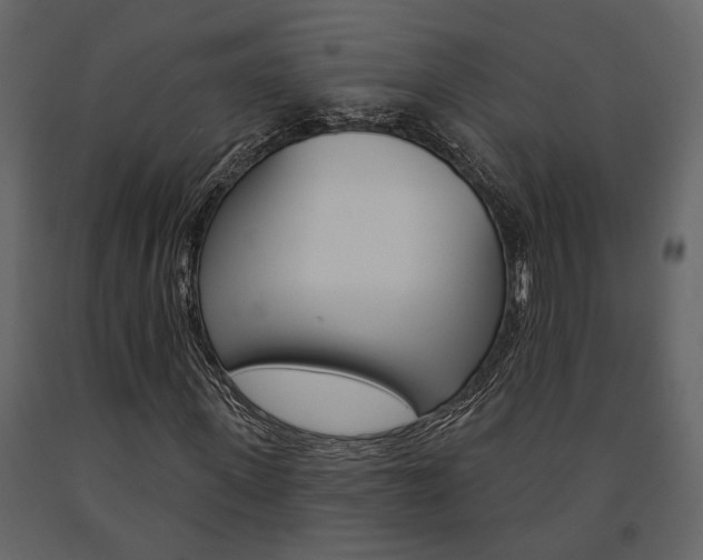 X0000091670915200708231010