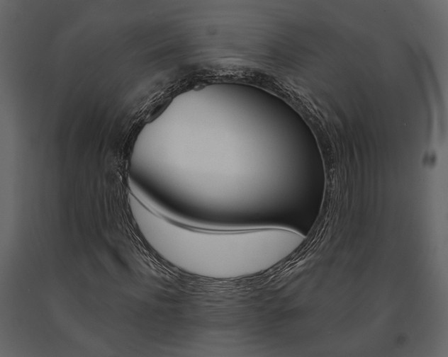 X0000091670916200708231010