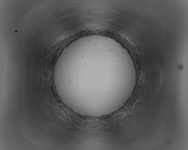 X0000091670917200708231010