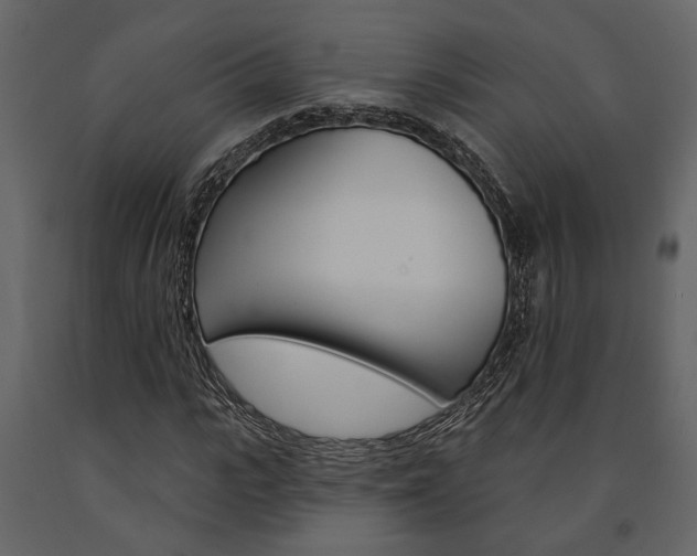 X0000091670919200708231010