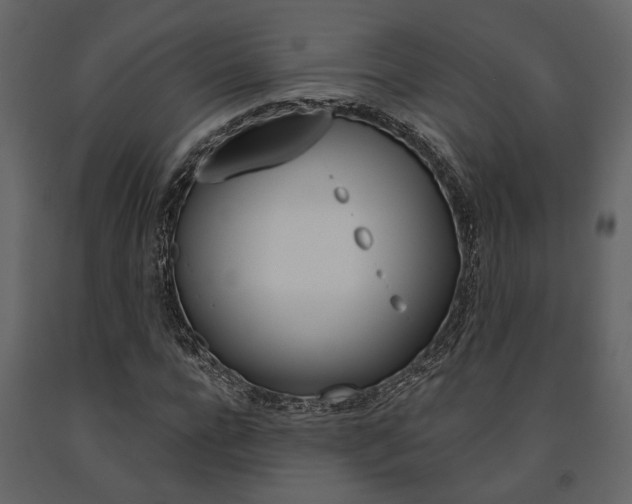 X0000091670920200708231010