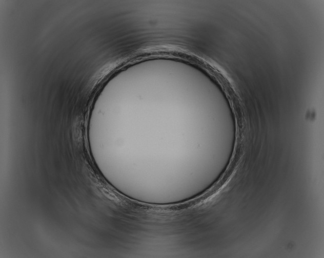 X0000091670921200708231010