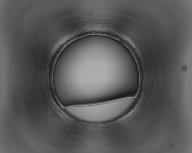 X0000091670922200708231010