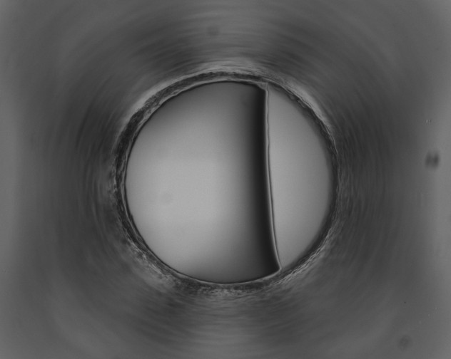 X0000091670923200708231010