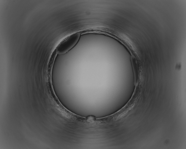 X0000091670924200708231010