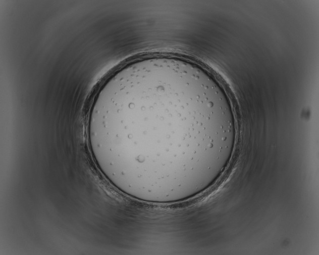 X0000091670925200708231010