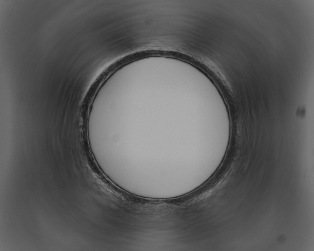 X0000091670926200708231010