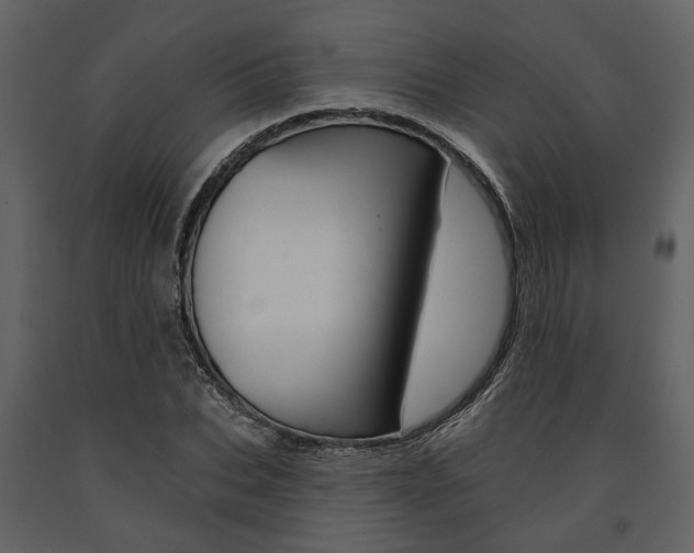 X0000091670927200708231010