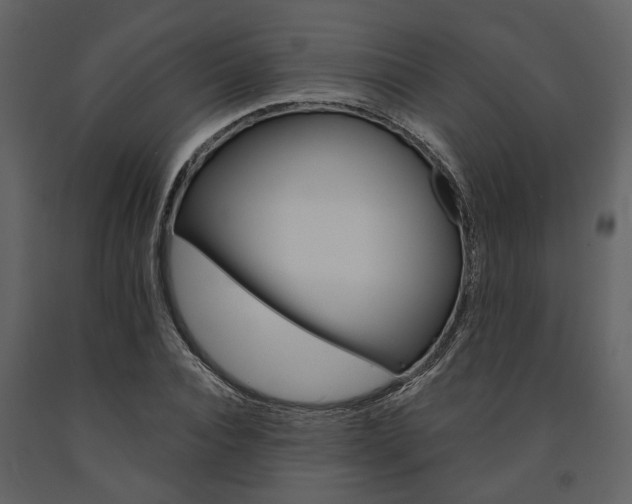 X0000091670928200708231010