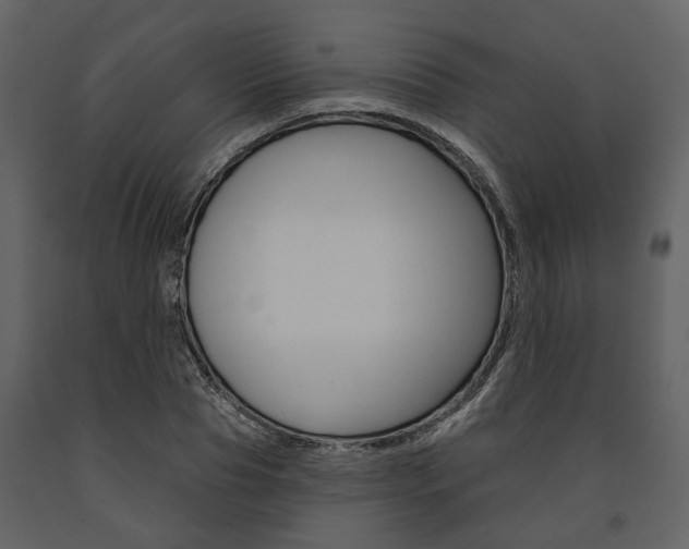 X0000091670929200708231010