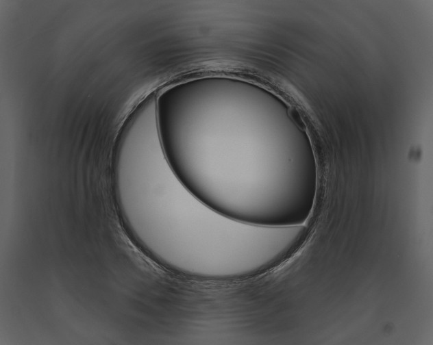 X0000091670930200708231010