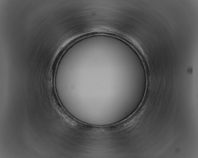 X0000091670931200708231010