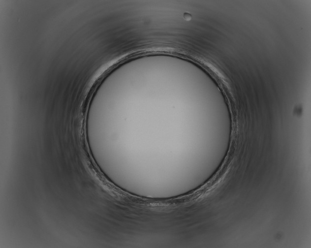 X0000091670933200708231010