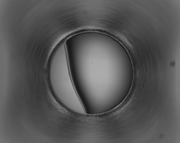 X0000091670934200708231010