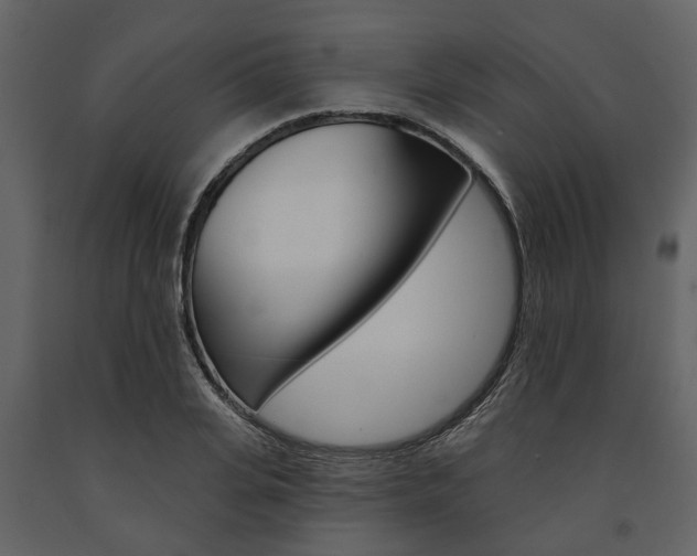 X0000091670935200708231010