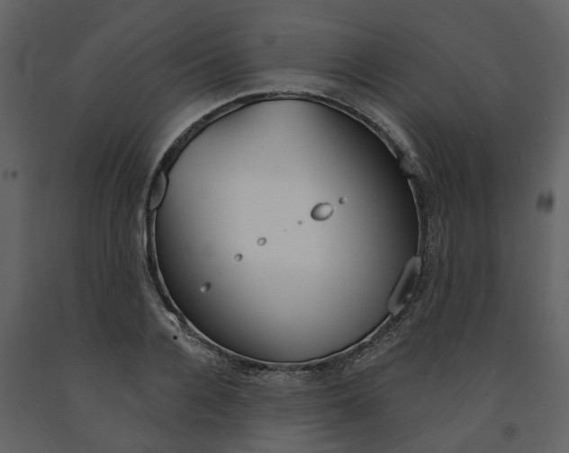 X0000091670936200708231010