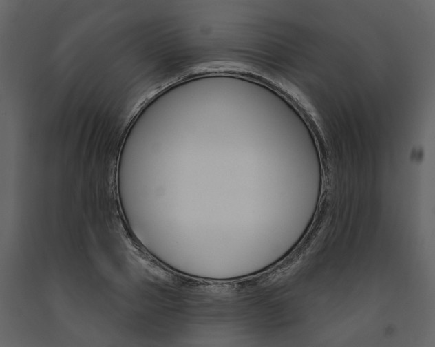 X0000091670937200708231010