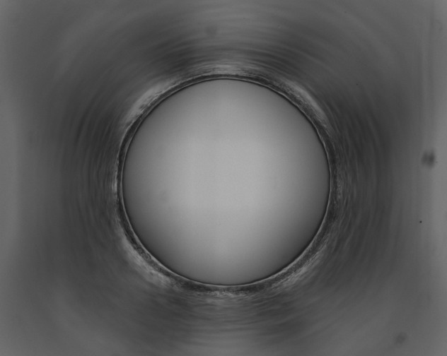 X0000091670938200708231010