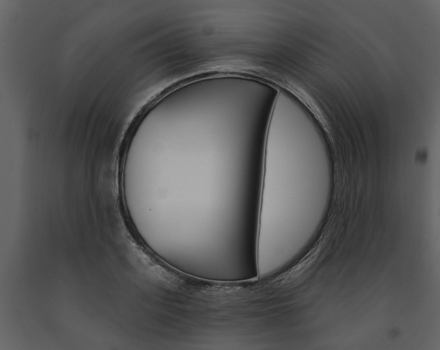X0000091670939200708231010