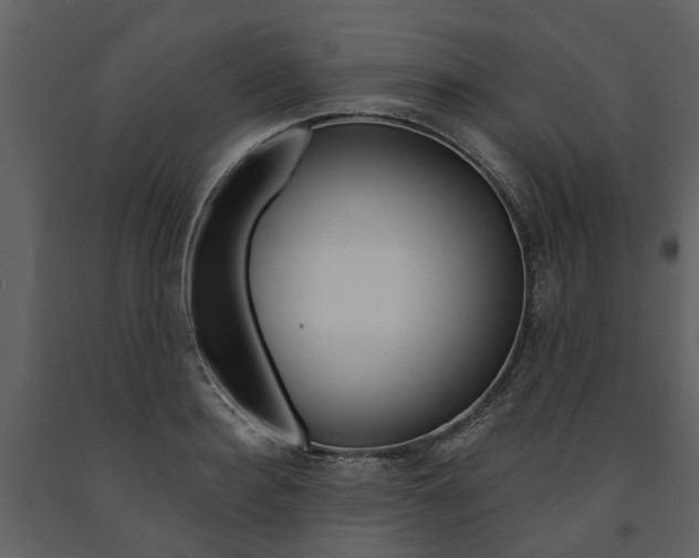X0000091670940200708231010
