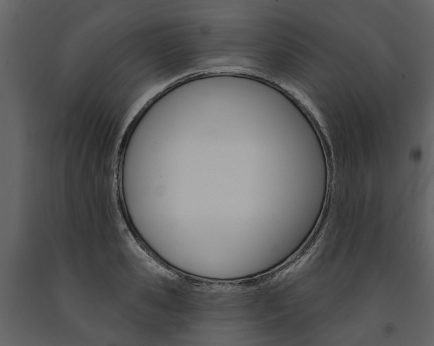 X0000091670941200708231010