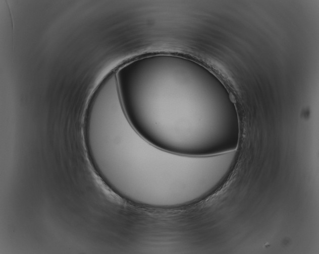 X0000091670942200708231010