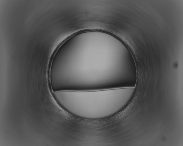 X0000091670943200708231010