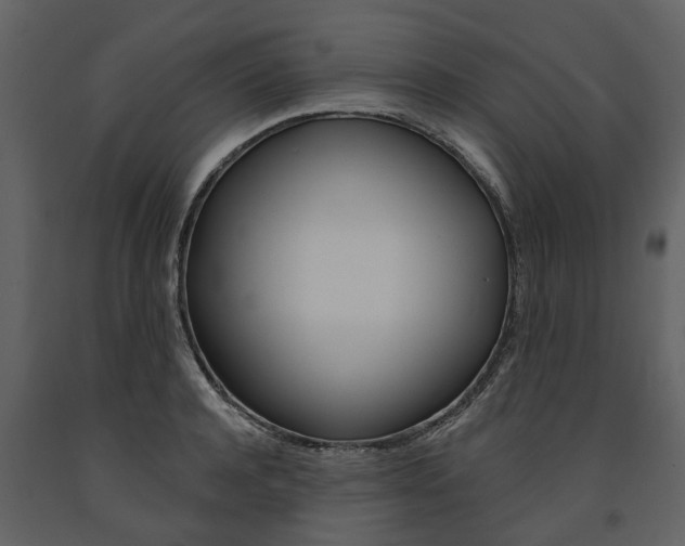 X0000091670944200708231010