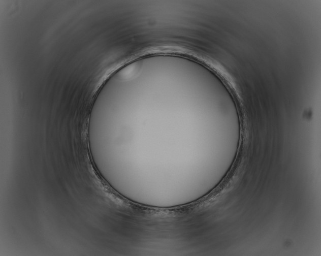 X0000091670945200708231010