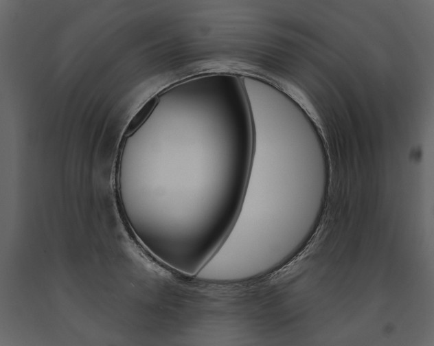 X0000091670946200708231010