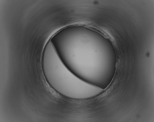 X0000091670948200708231010