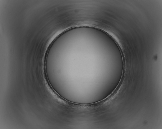 X0000091670949200708231010