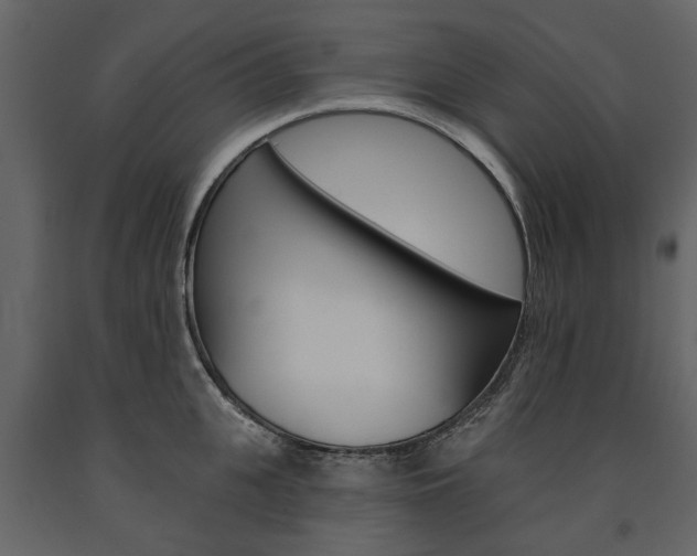 X0000091670951200708231010