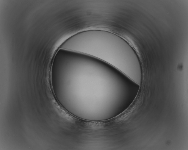 X0000091670952200708231010
