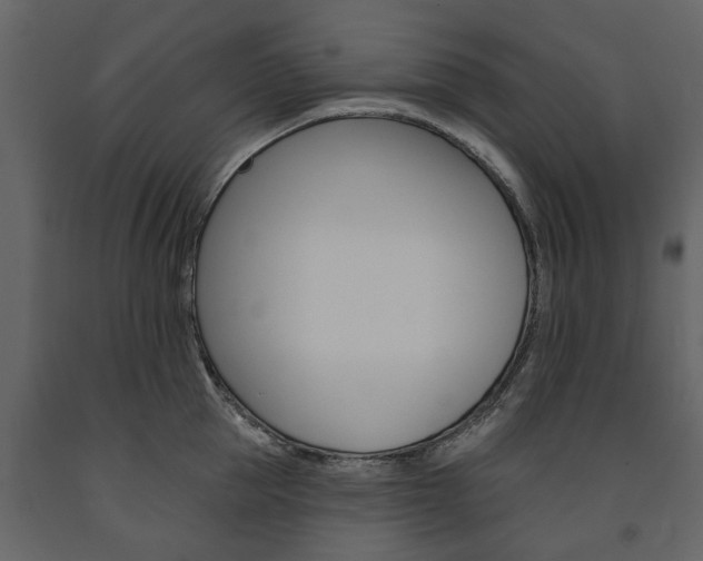 X0000091670953200708231010