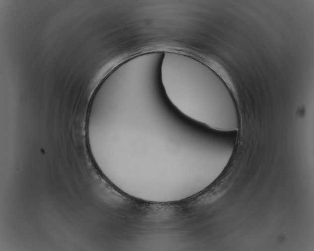 X0000091670954200708231010
