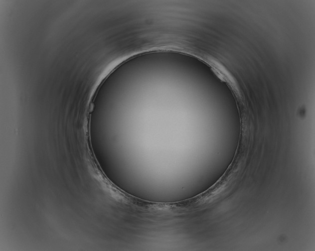 X0000091670956200708231010