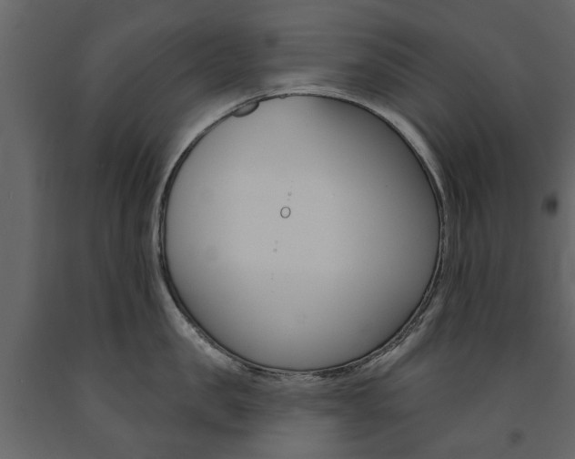 X0000091670957200708231010